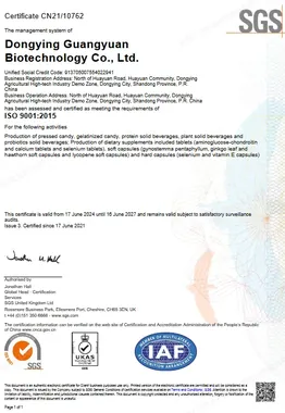 ISO9001质量管理体系