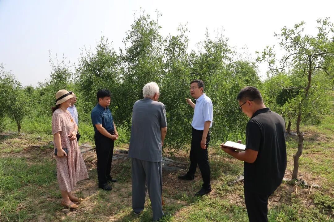 郭新民调研酸枣产业