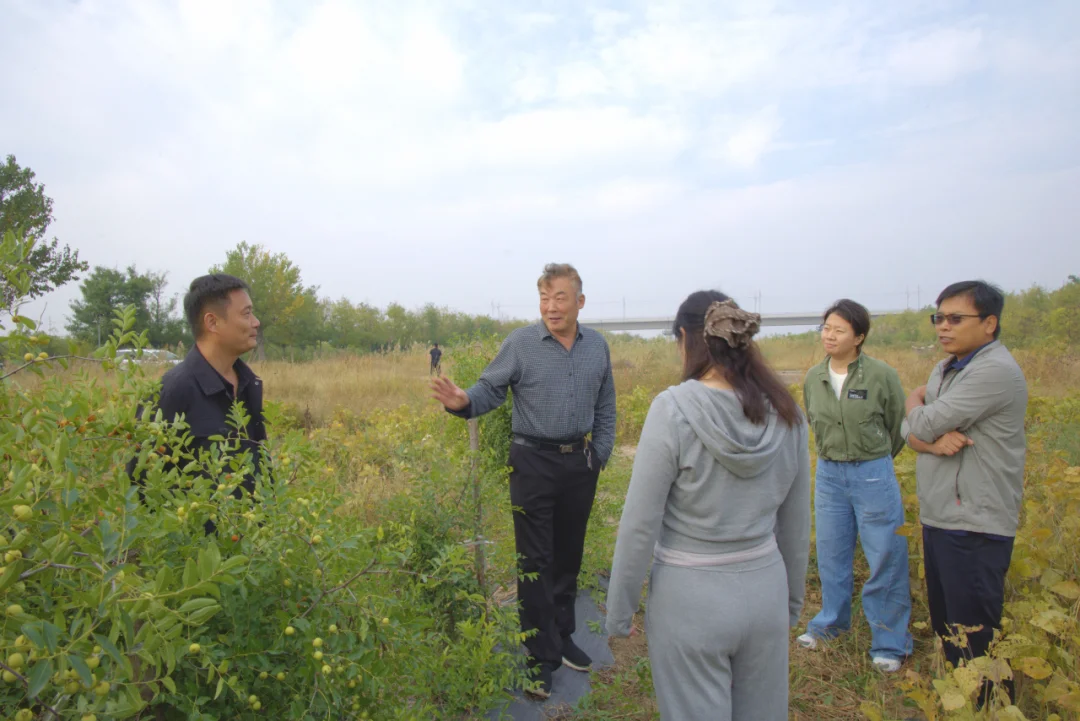 考察组在支脉河苗圃实地查看酸枣种植情况