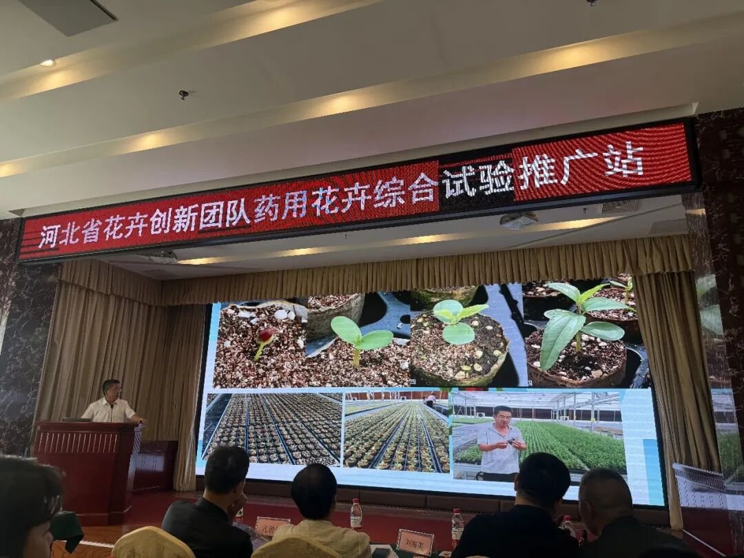培训会现场与基地观摩